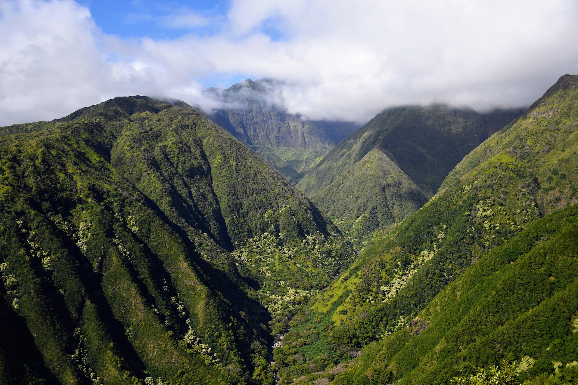 Conservación Ecológica