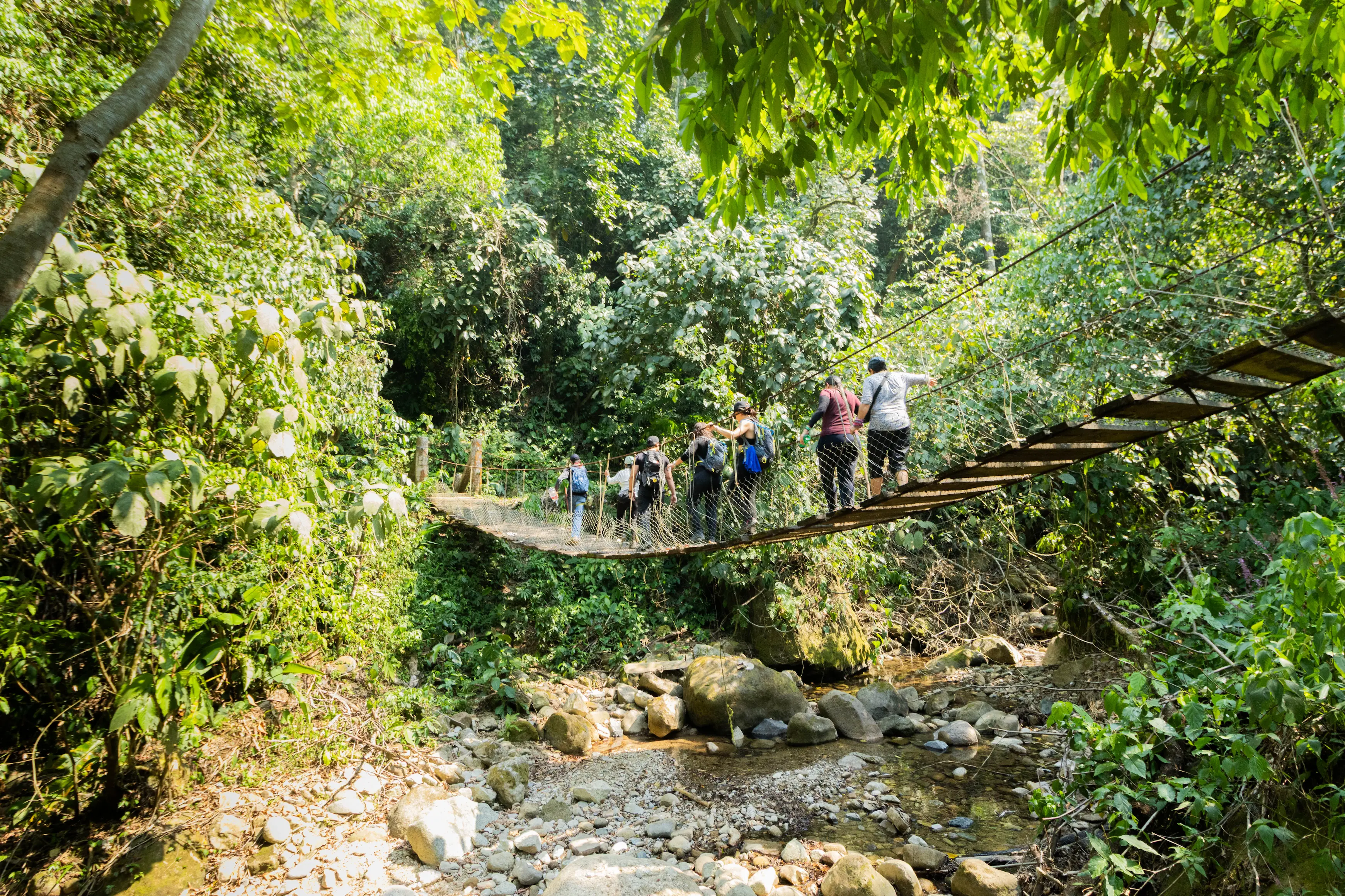 Camino Jaguar